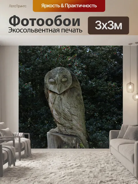 Фотообои Сова