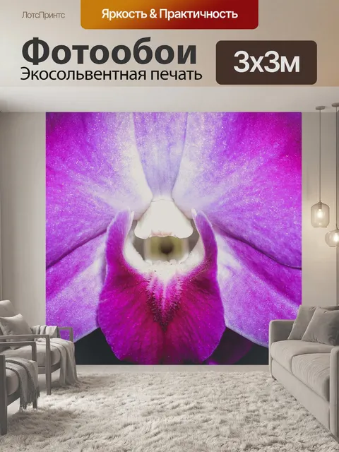 Фотообои Цветок орхидеи