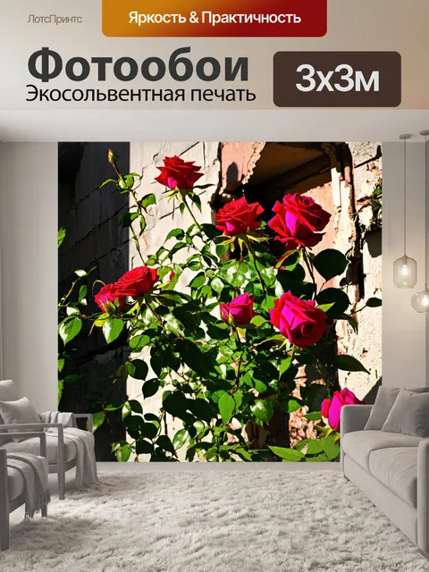 Фотообои розы в стиле панк, элементы разрушающихся зданий, тени среди цветов