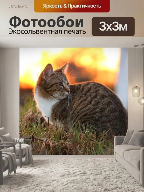 Фотообои Кот