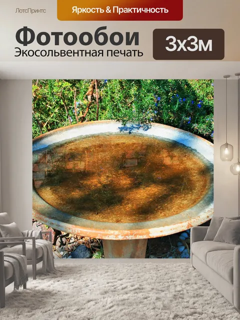 Фотообои ванна птицы и розмарином