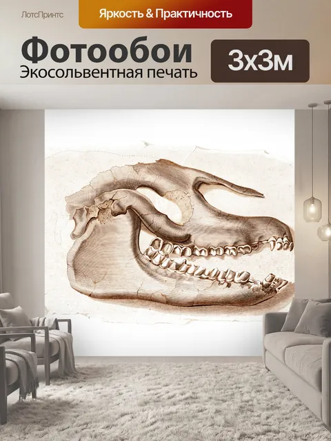 Фотообои Винтажное искусство черепа динозавра