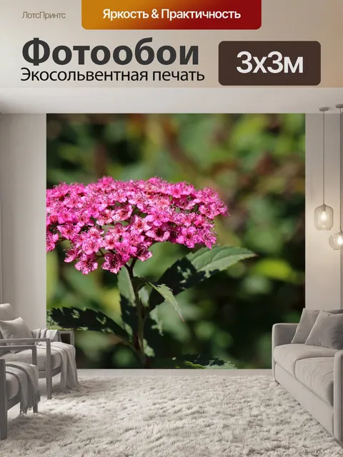 Фотообои головка цветка с маленькими розовыми цве
