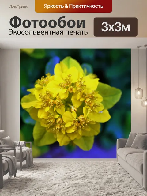 Фотообои Желтый цветок, ботанические сады