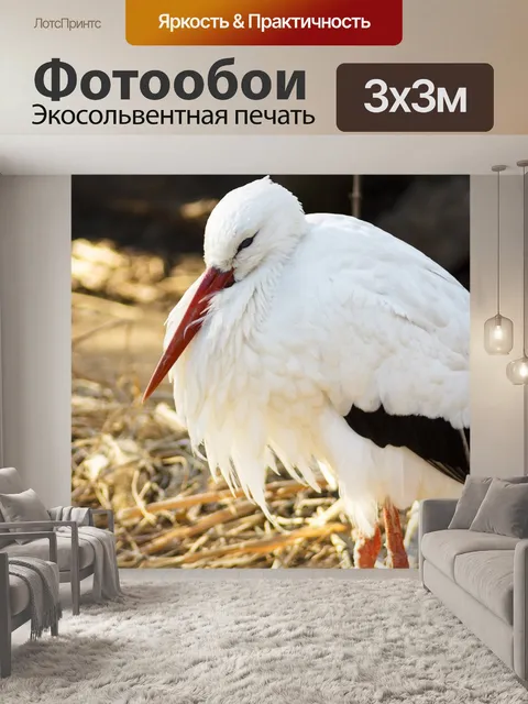 Фотообои Аист