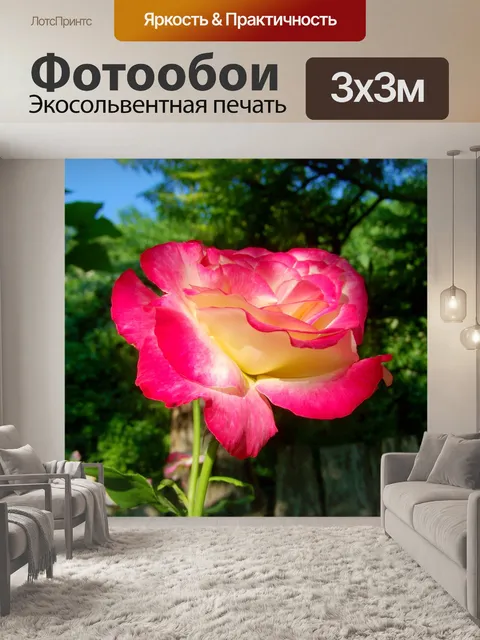 Фотообои Три цветные розы