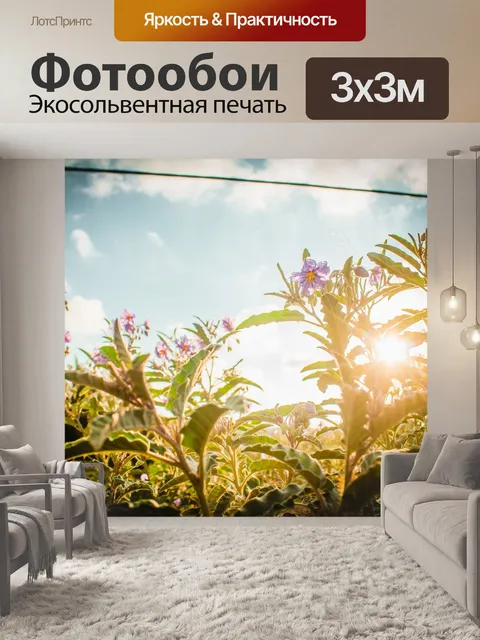 Фотообои Цветы