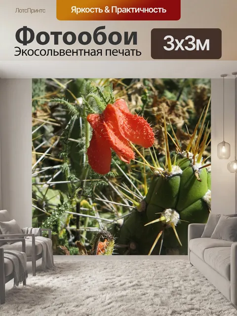 Фотообои Розовый