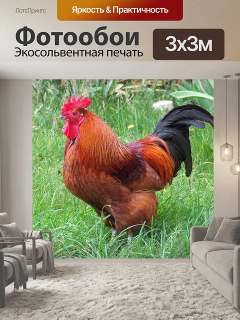 Фотообои Род-айленд красный