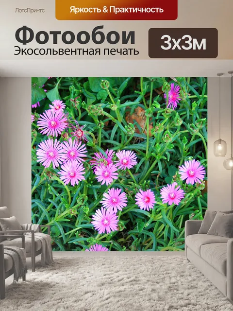 Фотообои Патч розового mesem