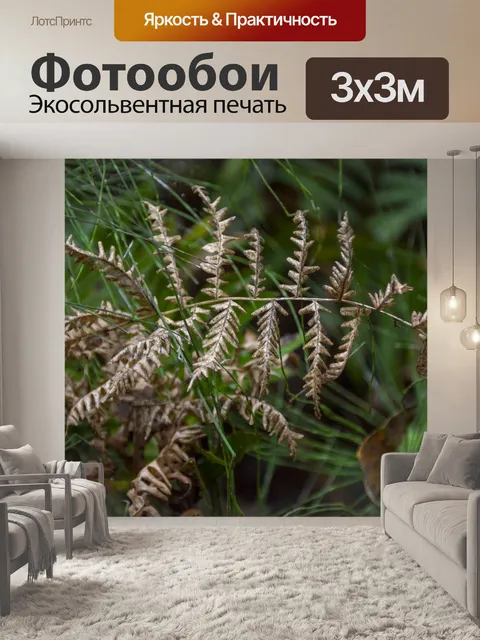 Фотообои Осенняя ветка листьев