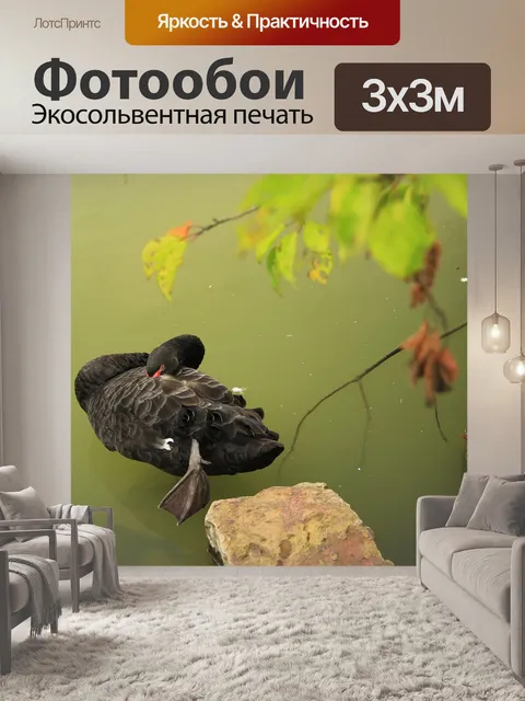 Фотообои Вуси
