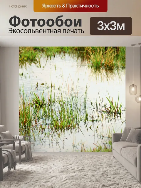 Фотообои вода с травой
