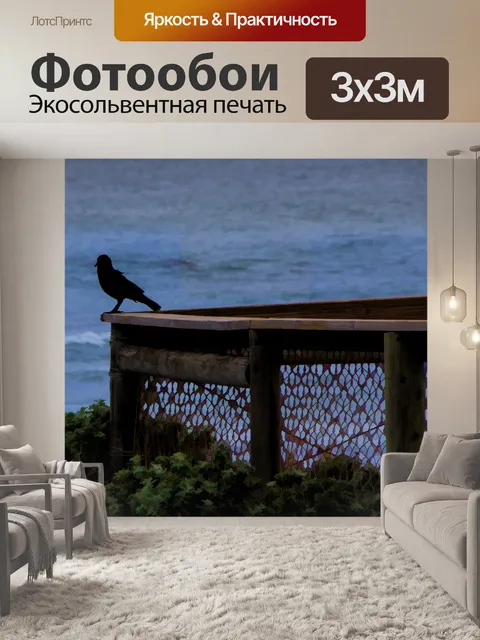 Фотообои Птица на заборе