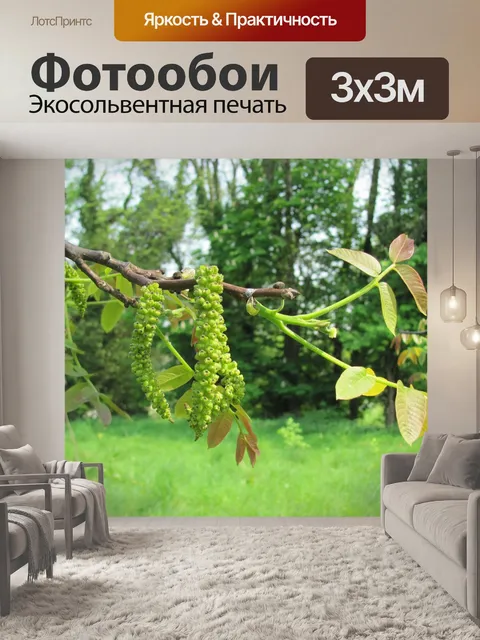 Фотообои Ореховое дерево цветок