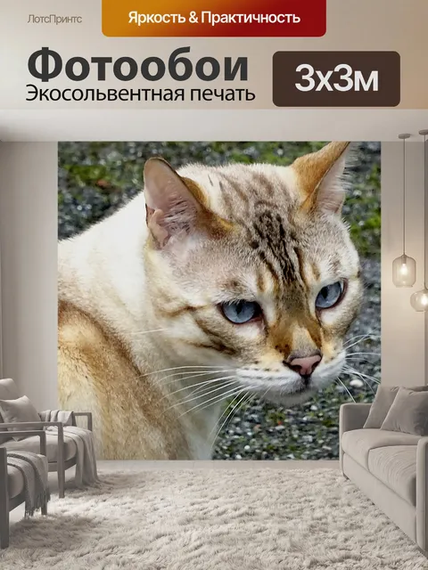 Фотообои Кот на охоте