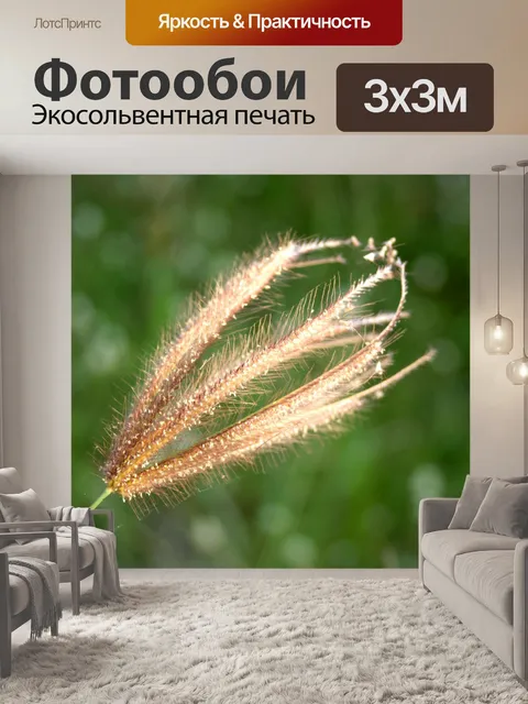 Фотообои Сухой дикий цветок