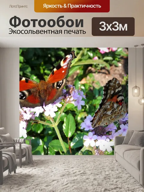 Фотообои Бабочки