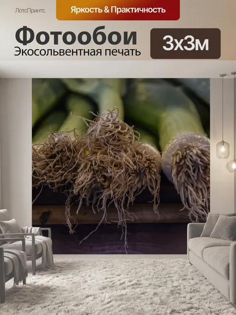 Фотообои Луковые корни