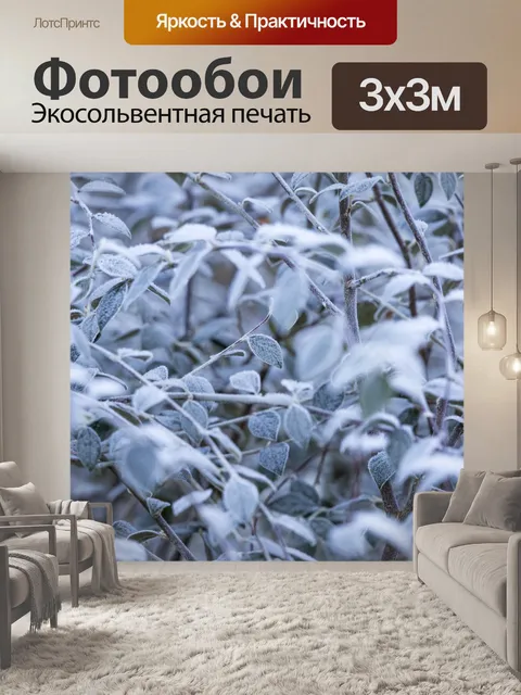 Фотообои Морозные зимние листья