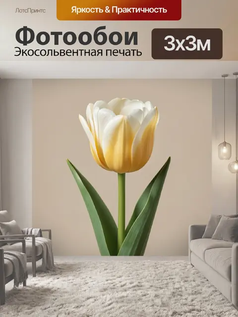 Фотообои Нежный тюльпан крупным планом