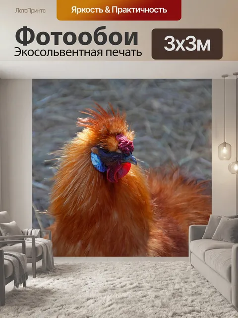 Фотообои Seidenhuhn