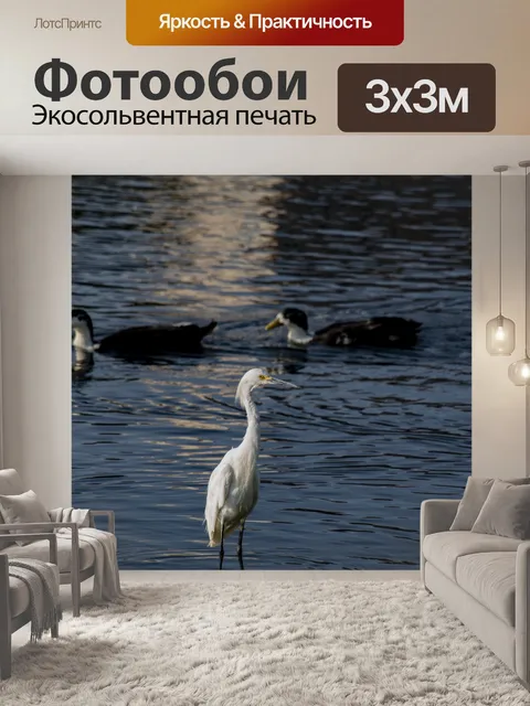 Фотообои Две утки и белая цапля