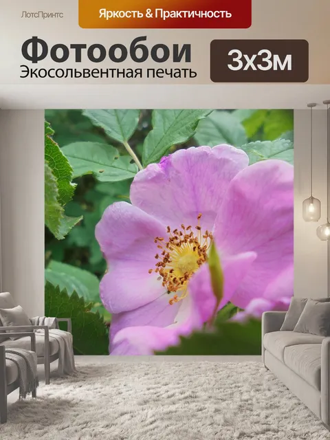 Фотообои Макро