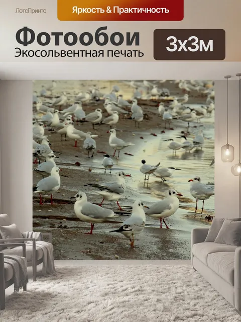 Фотообои Чайки