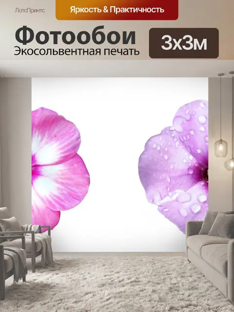 Фотообои флокс