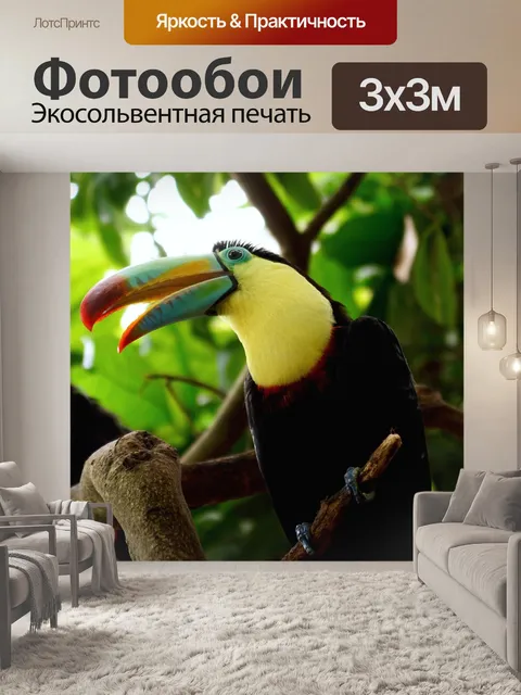 Фотообои Тукан