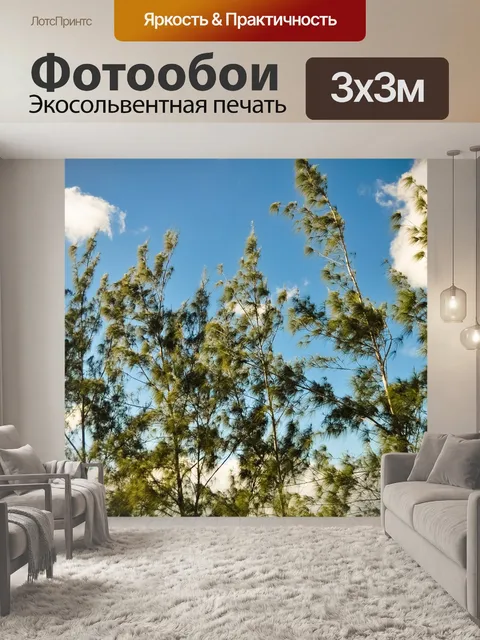 Фотообои Эвкалипт