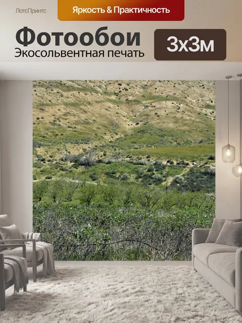 Фотообои Сиреневые поля