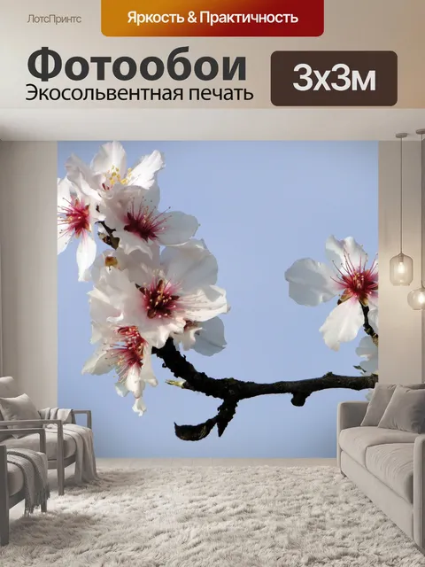 Фотообои Цветок миндаля