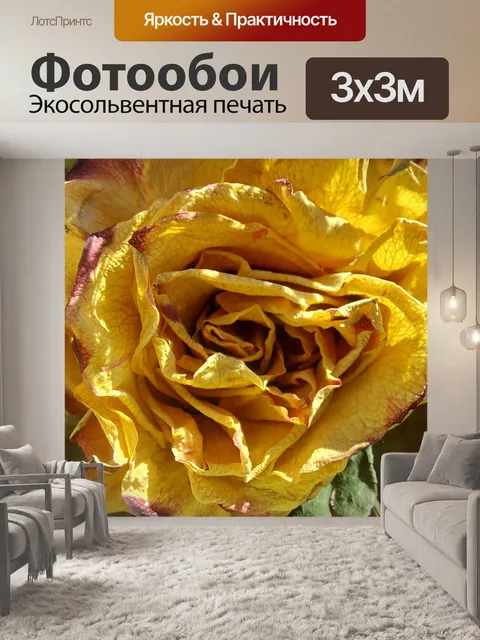 Фотообои Сухой цветок розы