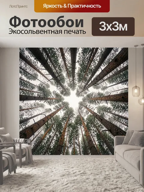 Фотообои Высокие сосны снизу вверх