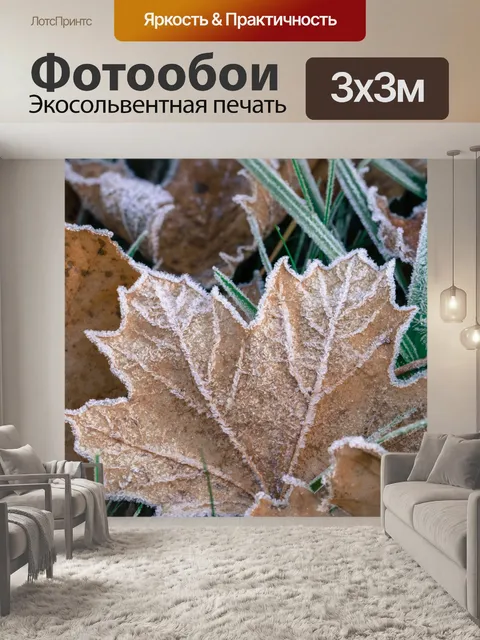 Фотообои Замороженные листья