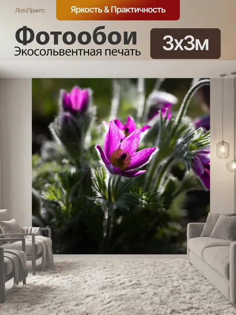 Фотообои Цветок