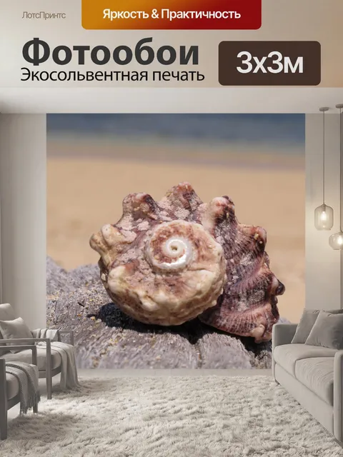 Фотообои Оболочка