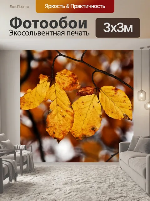 Фотообои Осенняя листва бук осенние листья