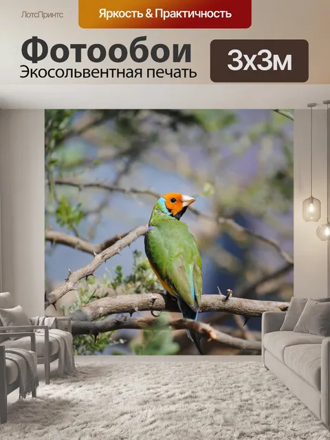 Фотообои Птица
