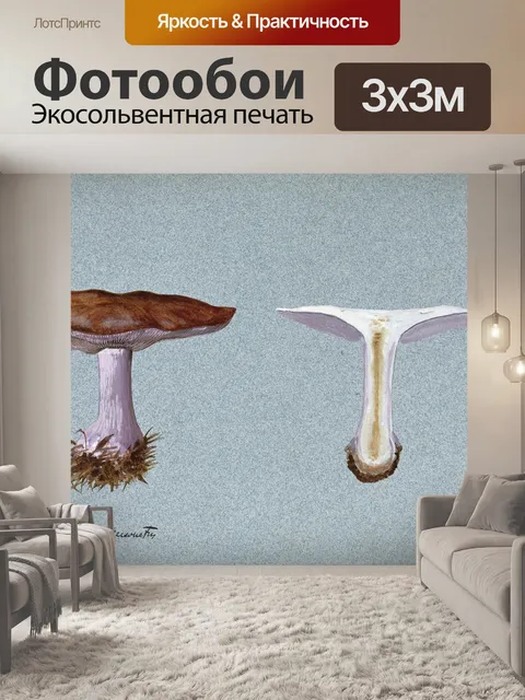 Фотообои Винтажная иллюстрация чемпиона грибов