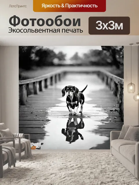 Фотообои такса-дапл, щенок, который солирует на деревянной мостовой с лужами после дождя