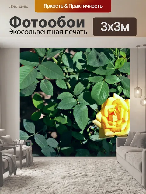 Фотообои Желтая роза