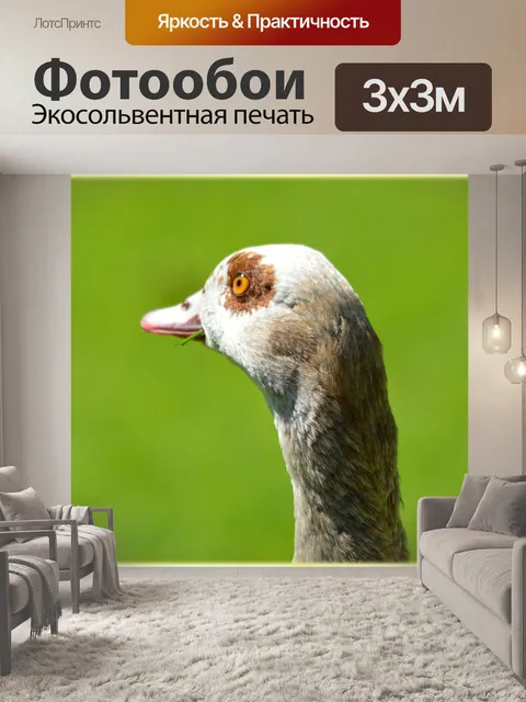 Фотообои Нил Гусь и 06 детенышей