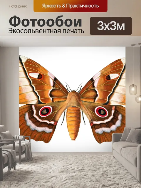 Фотообои Бабочка винтаж