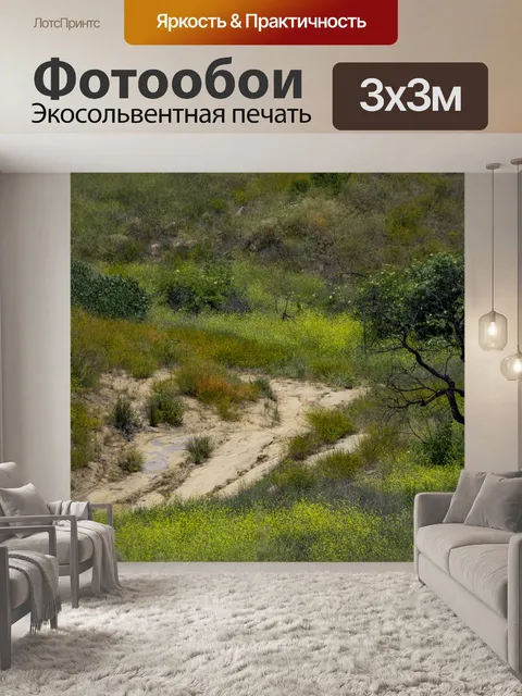Фотообои Грязь путь