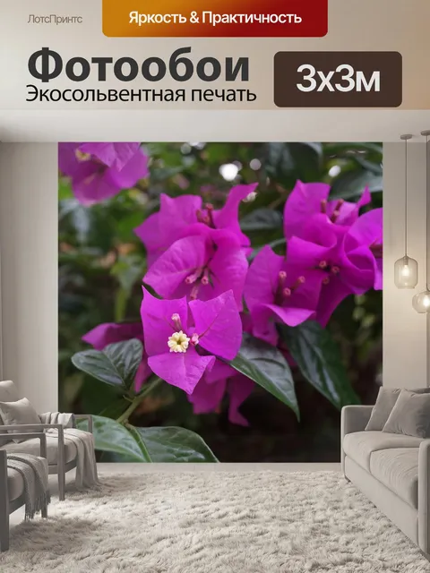 Фотообои Бугенвиллия