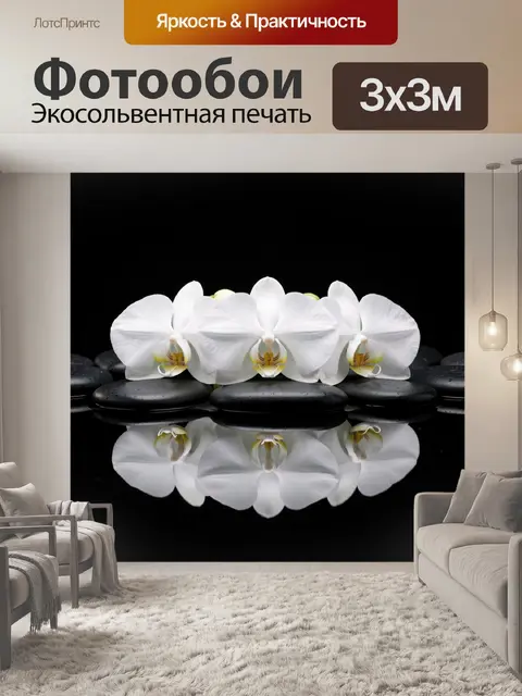 Фотообои Белые орхидеи на черных камнях