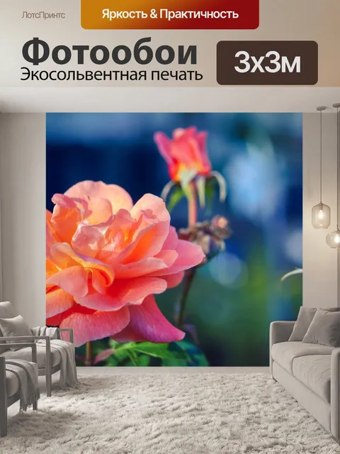 Фотообои Розы